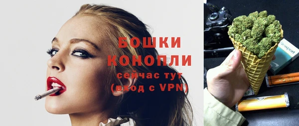 эйфоретик Богданович