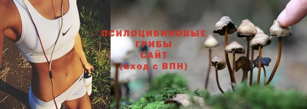 наркотики Богородицк