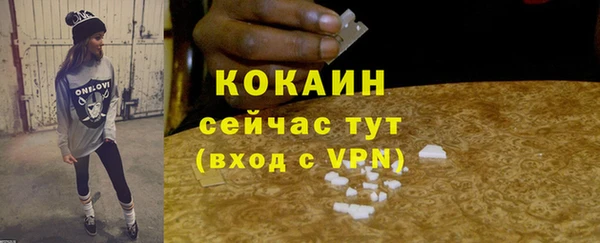 эйфоретик Богданович