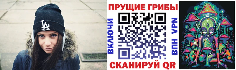 Купить где  Таштагол  Галлюциногенные грибы Cubensis 