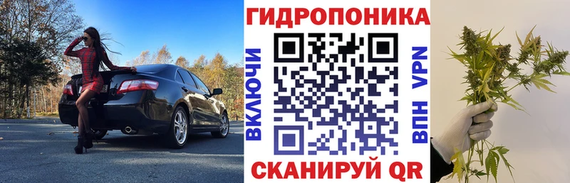 Купить закладки  Таштагол  Марихуана тримм 